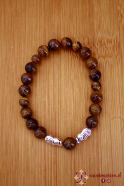 <font style="vertical-align: inherit;"><font style="vertical-align: inherit;">Ojo de Tigre</font></font>